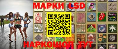 спиды Кингисепп