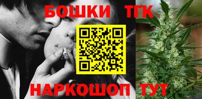 спиды Кингисепп
