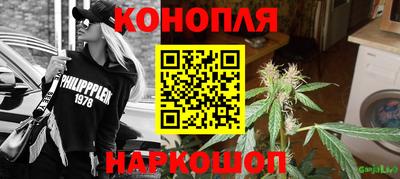 спиды Кингисепп