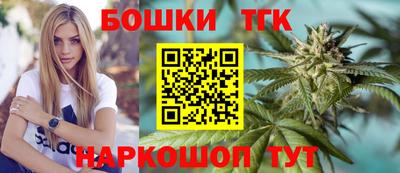 спиды Кингисепп