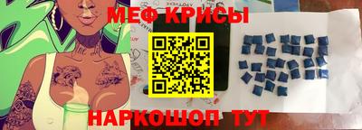 спиды Кингисепп