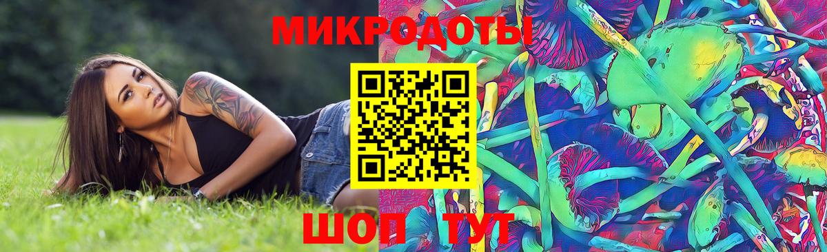 Галлюциногенные грибы Cubensis Конаково